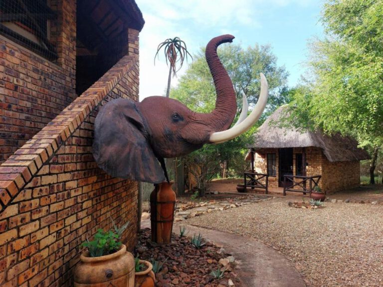 Home elephant memories safari