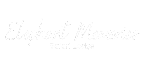 elephant memories logo (500 x 250 px)